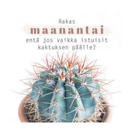 tulivaanmieleen, mietelause- magneetit (erilaisia)