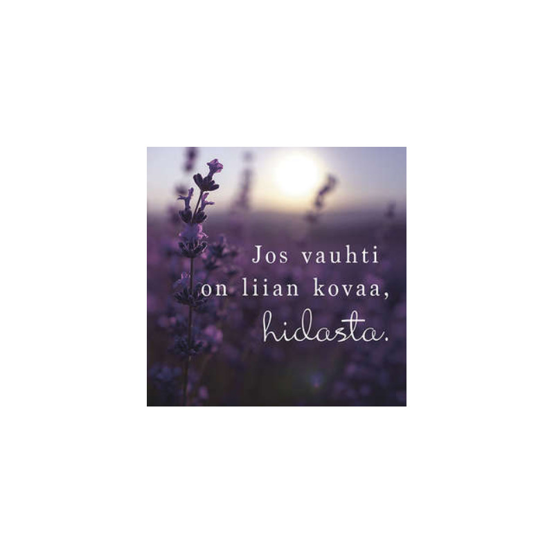 tulivaanmieleen, mietelause- magneetit (erilaisia)