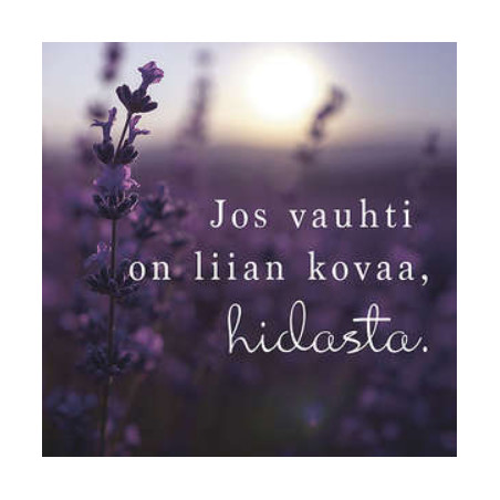 tulivaanmieleen, mietelause- magneetit (erilaisia)