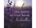 tulivaanmieleen, mietelause- magneetit (erilaisia)